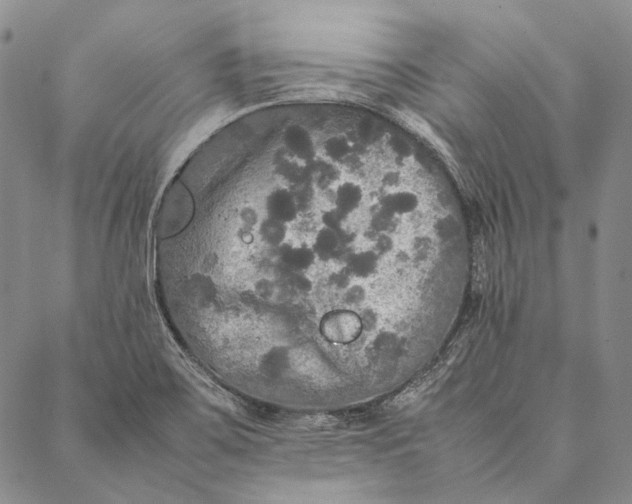 X0000087061467200705091148