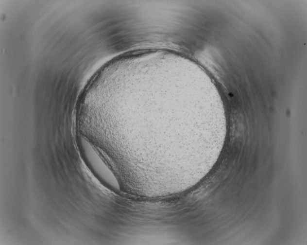 X0000087061468200705091148