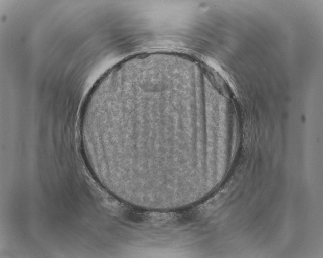 X0000087061469200705091148