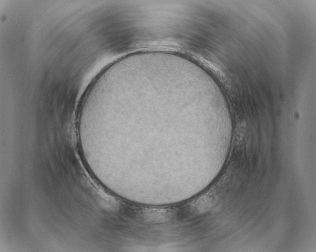 X0000087061470200705091148