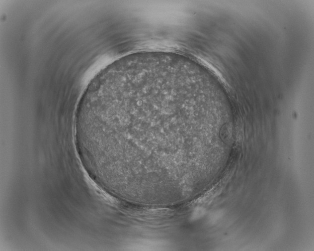 X0000087061471200705091148