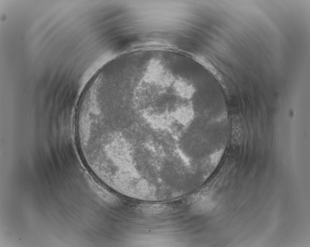 X0000087061474200705091148