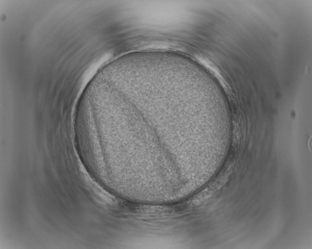 X0000087061475200705091148