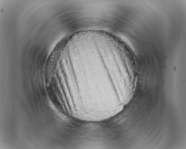 X0000087061476200705091148