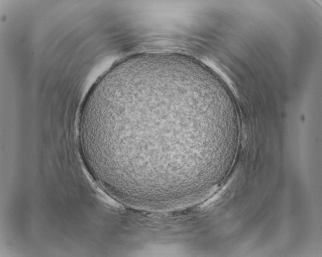 X0000087061477200705091148