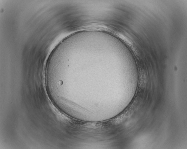 X0000087061478200705091148