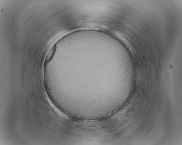 X0000087061479200705091148