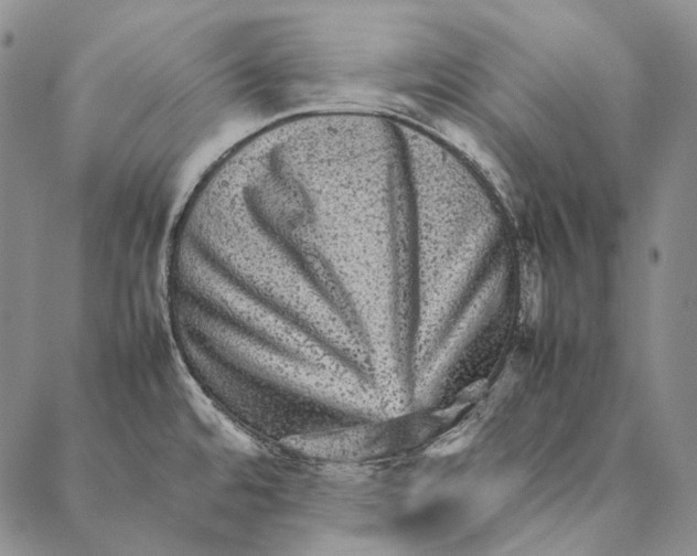 X0000087061480200705091148