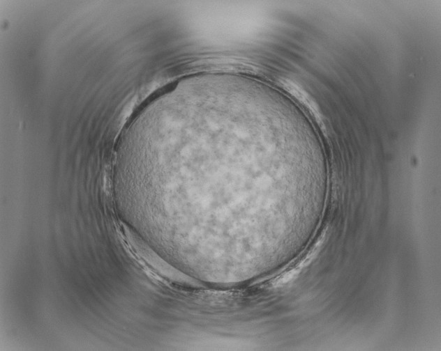 X0000087061481200705091148