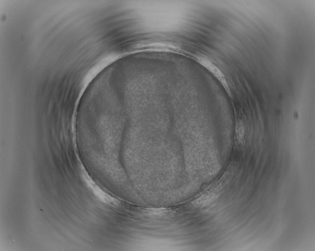 X0000087061482200705091148