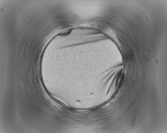 X0000087061483200705091148