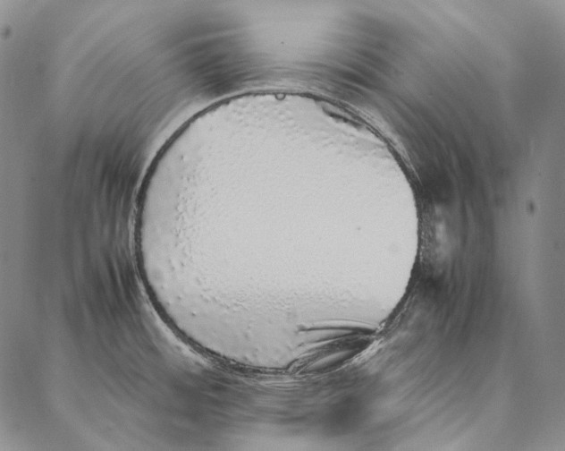 X0000087061484200705091148