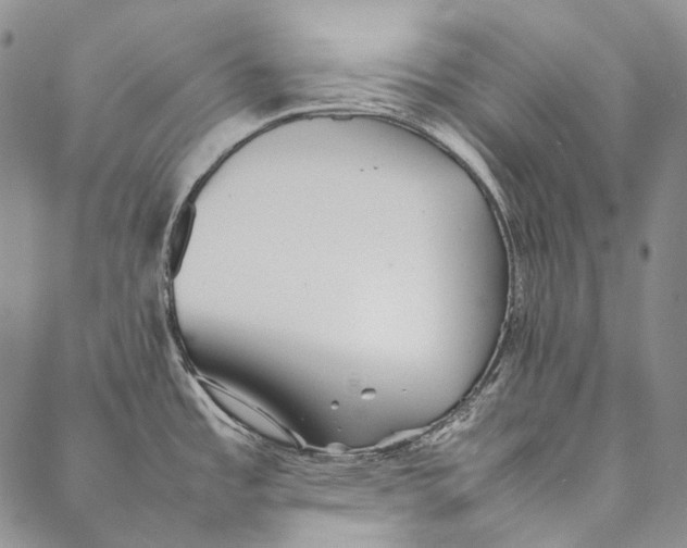 X0000087061485200705091148