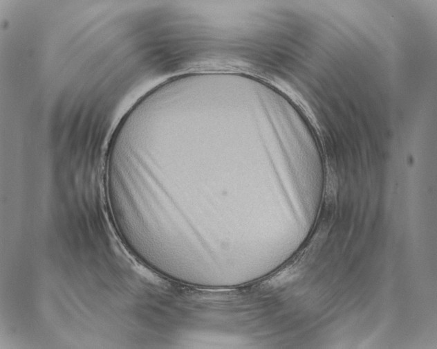 X0000087061486200705091148