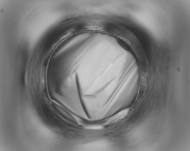 X0000087061487200705091148