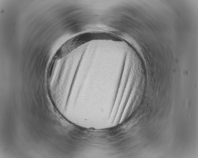 X0000087061488200705091148