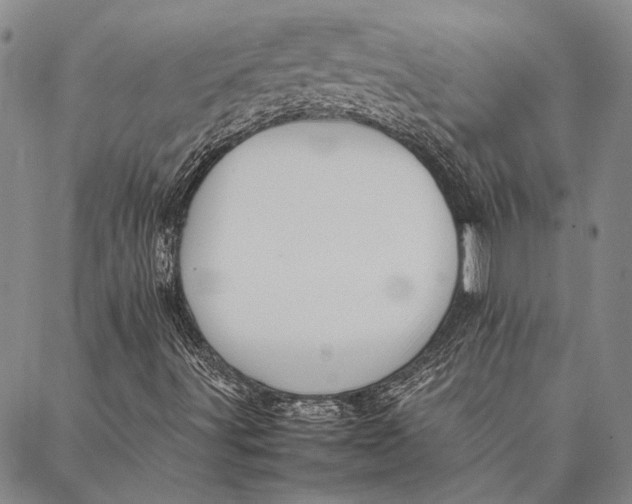 X0000087061491200705091147