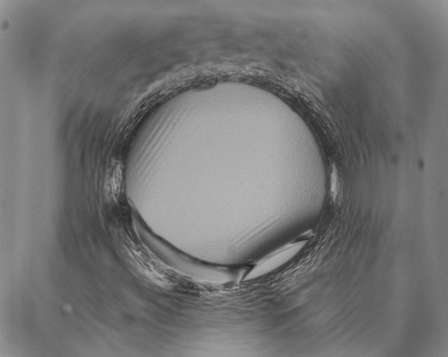 X0000087061492200705091147