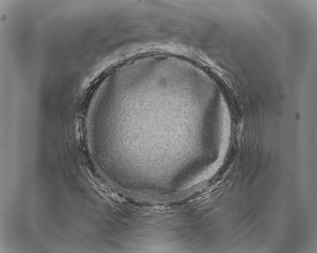 X0000087061496200705091147