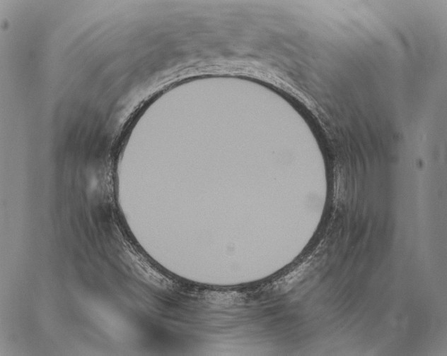 X0000087061498200705091147