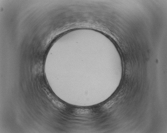 X0000087061499200705091147