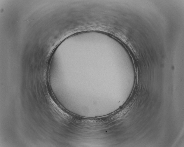 X0000087061500200705091147