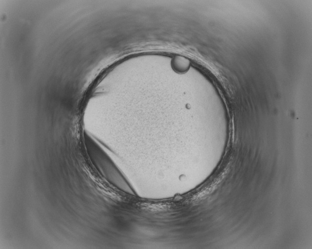 X0000087061501200705091147