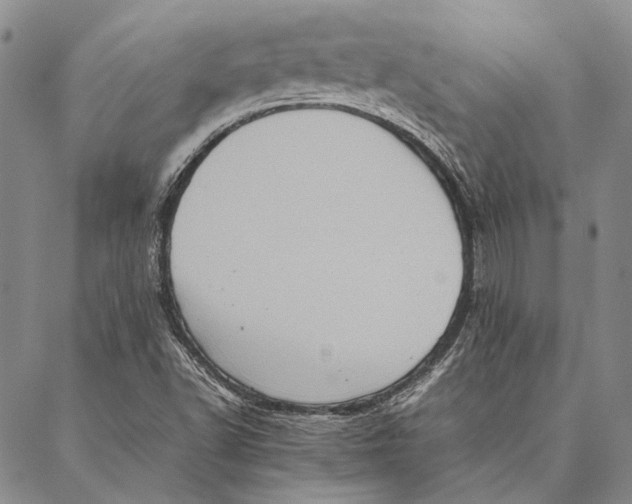 X0000087061502200705091147