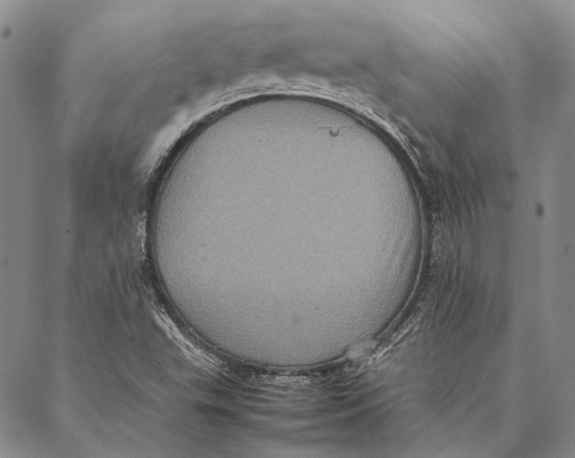 X0000087061503200705091147