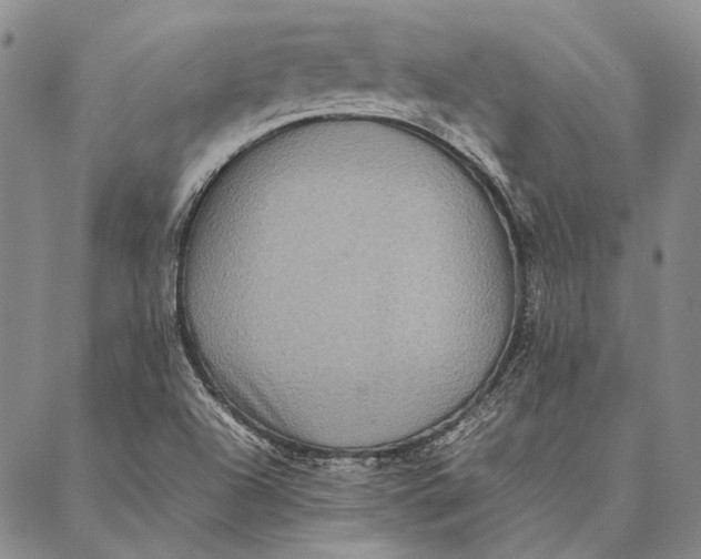 X0000087061504200705091147