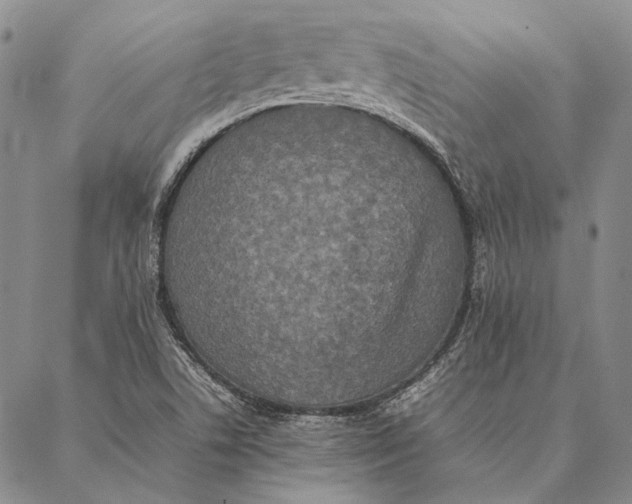 X0000087061506200705091147