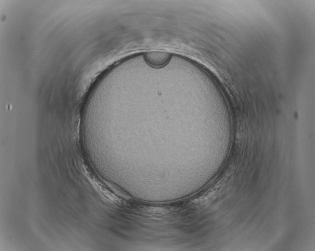 X0000087061507200705091147