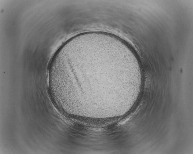 X0000087061509200705091147