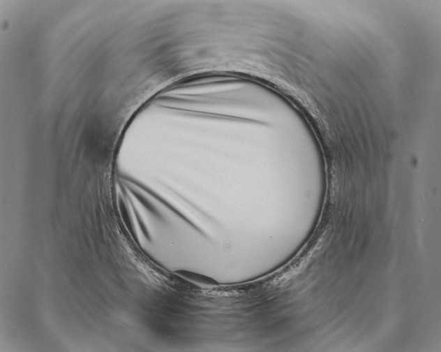 X0000087061513200705091148