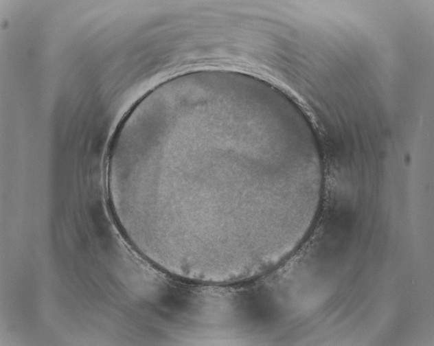 X0000087061514200705091148