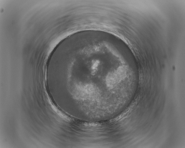 X0000087061515200705091148