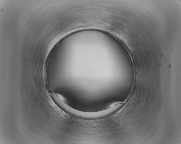 X0000087061516200705091148