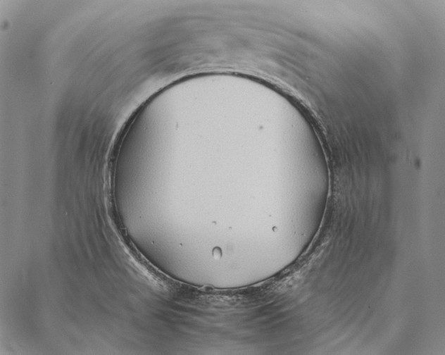 X0000087061517200705091148