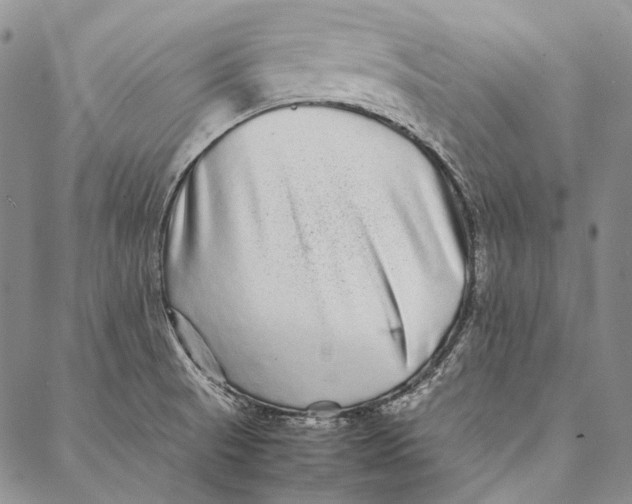 X0000087061521200705091148