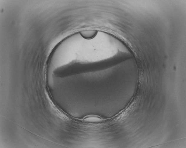 X0000087061522200705091148