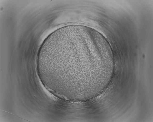 X0000087061523200705091148