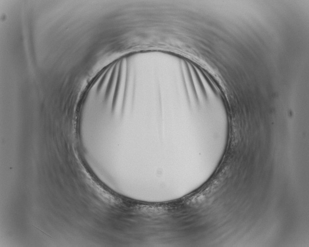 X0000087061525200705091148