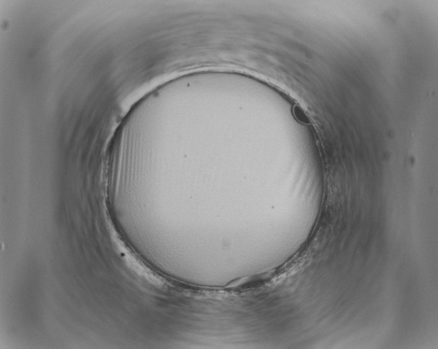 X0000087061526200705091148