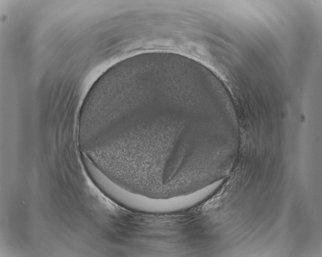 X0000087061527200705091148