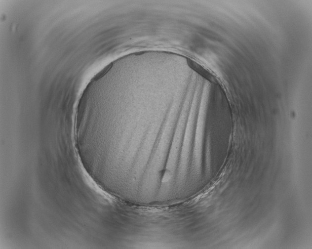 X0000087061528200705091148