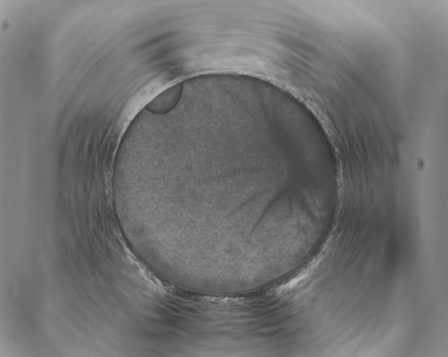 X0000087061529200705091148