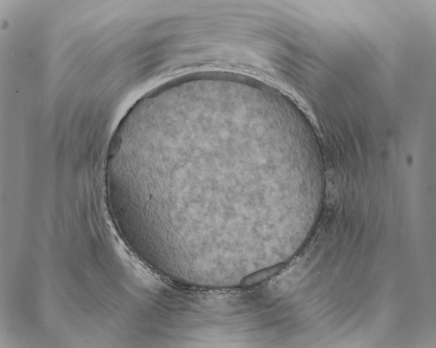 X0000087061530200705091148