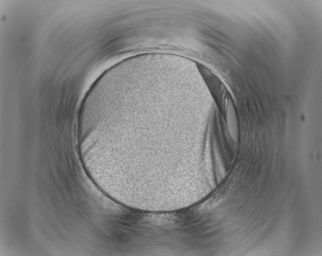 X0000087061531200705091148