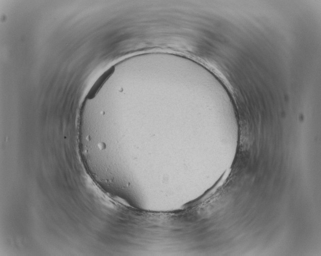 X0000087061532200705091148