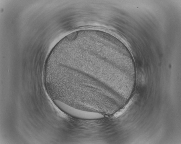 X0000087061533200705091148